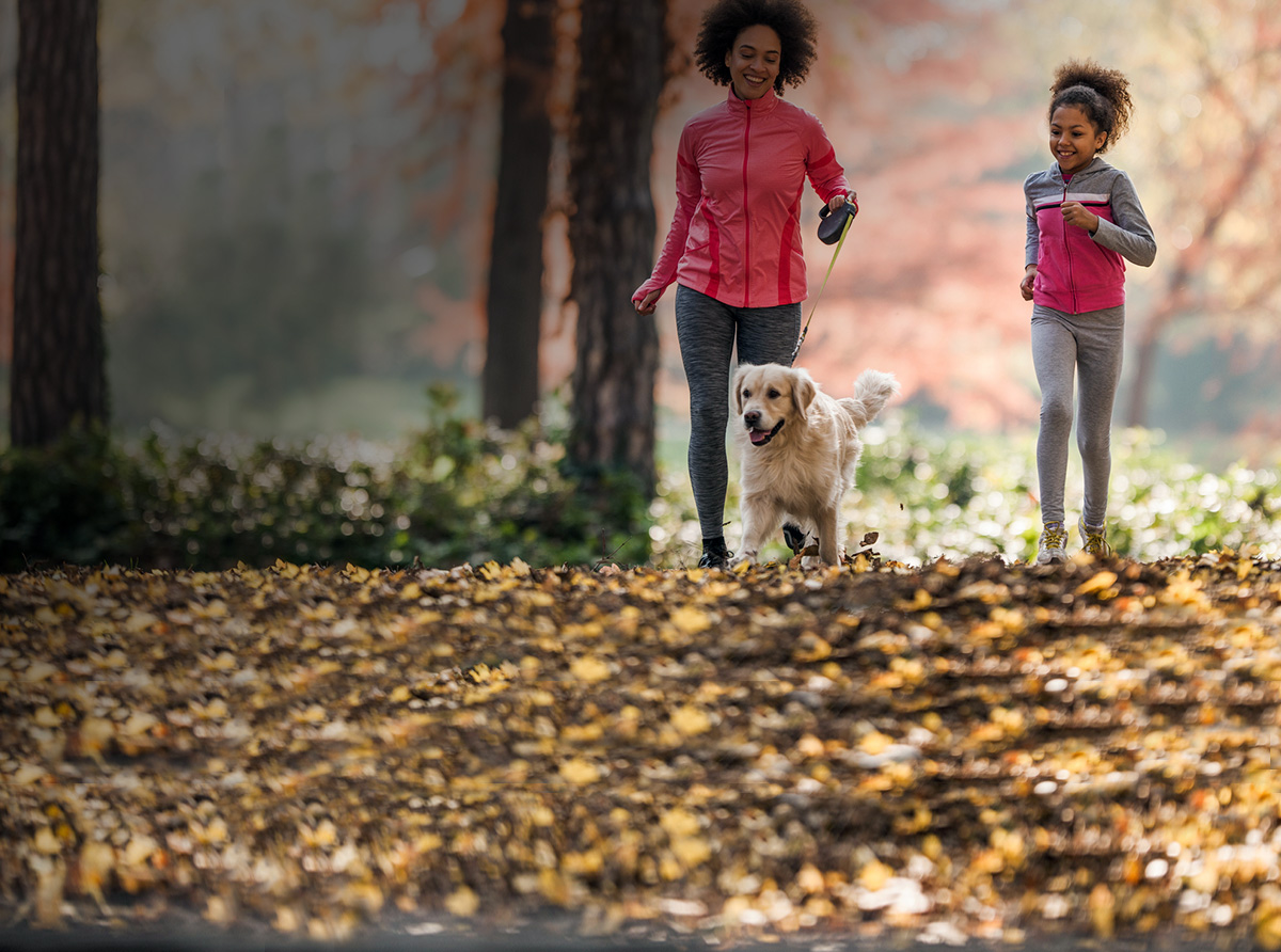 IS YOUR FUR BABY <br> <strong>COVERED?</strong>